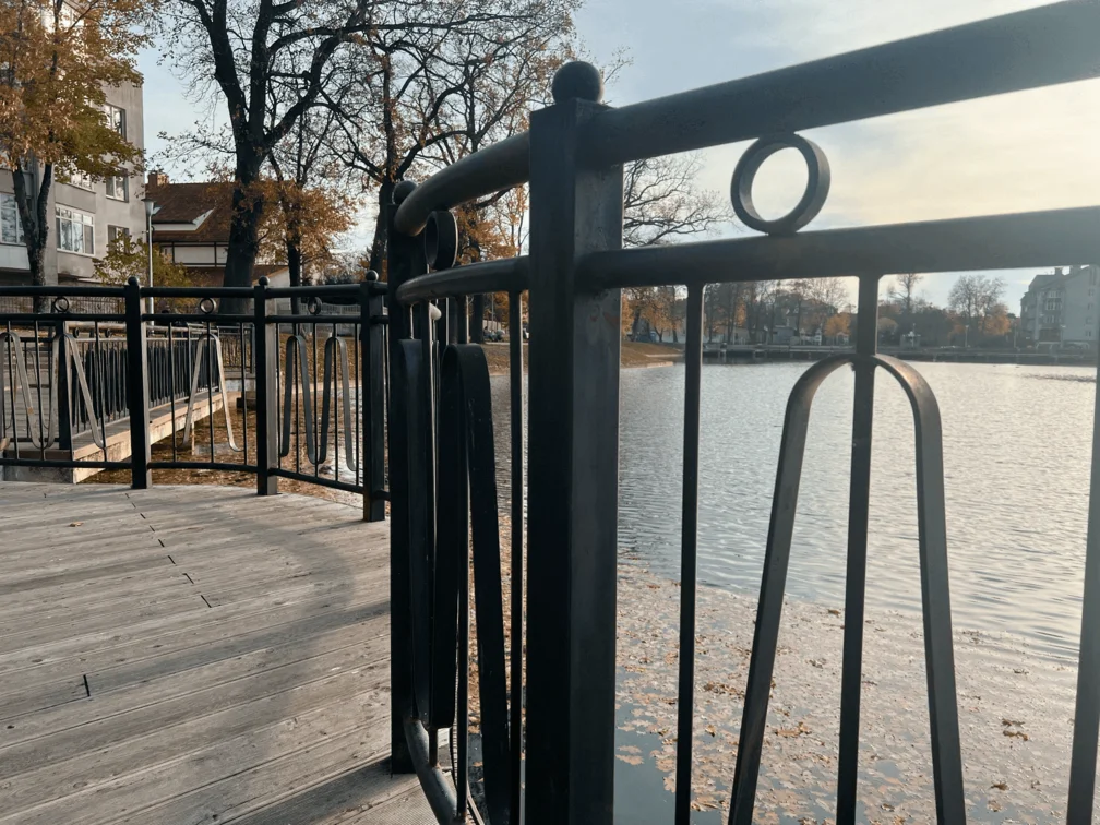 Балконные ограждения из черного металла